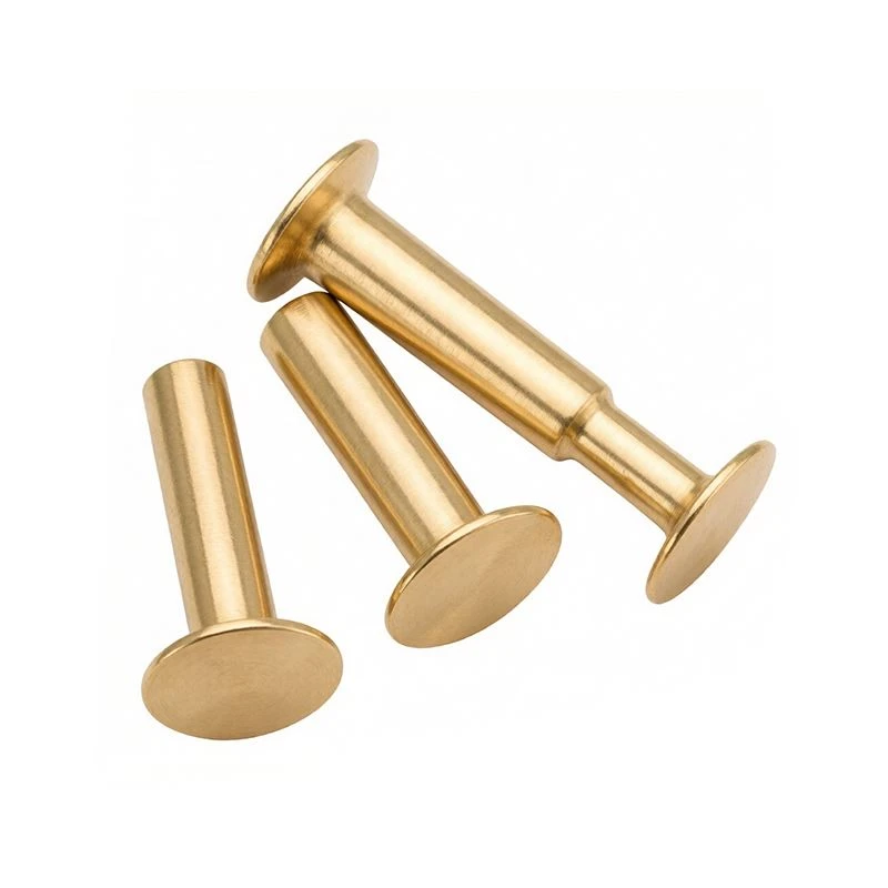 Metric Solid Rivets high quality